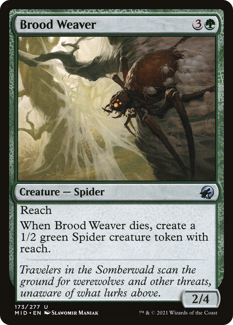 Image of Brood Weaver [Innistrad: Midnight Hunt]