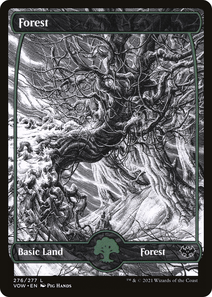 Image of Forest (276) [Innistrad: Crimson Vow]