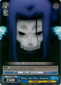 Image of Many, but One, Assassin (FZ/S17-E093 C) [Fate/Zero]