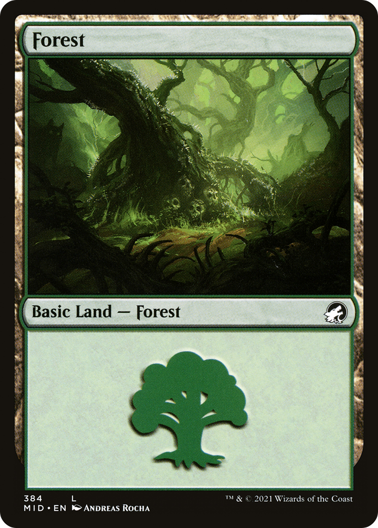 Image of Forest (384) [Innistrad: Midnight Hunt]