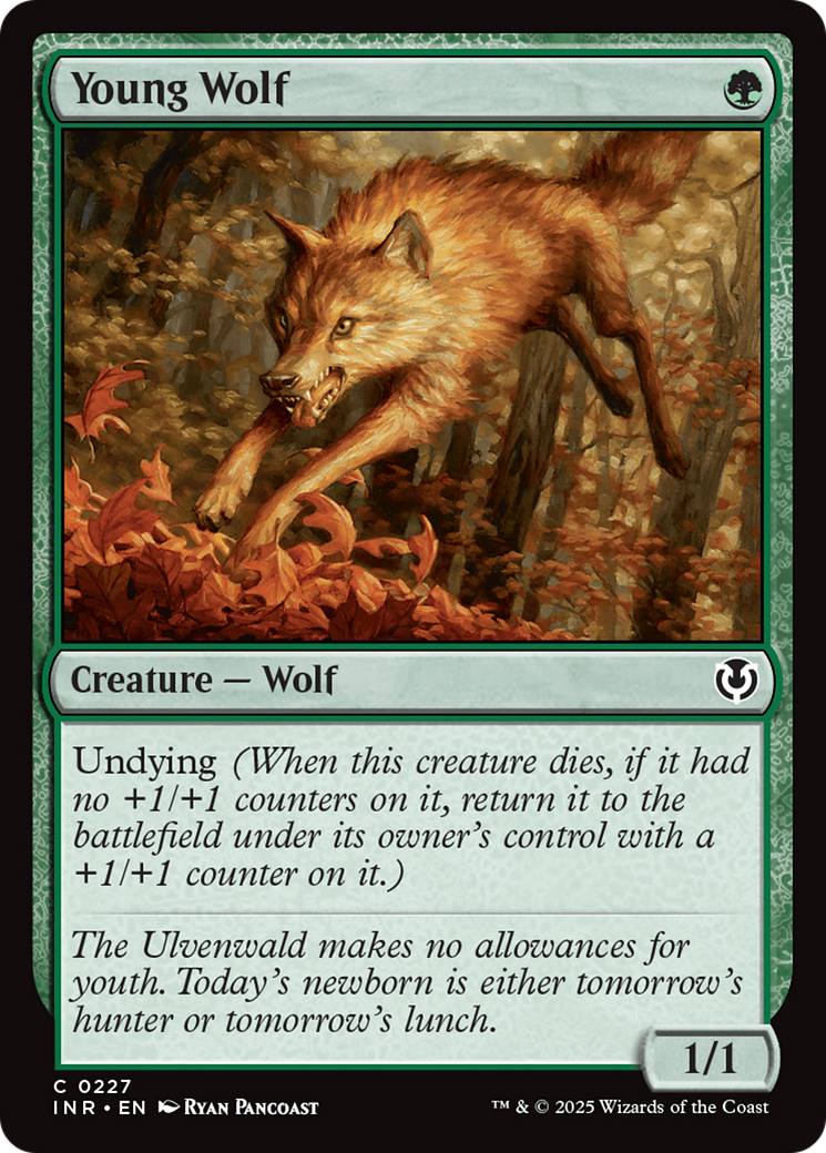 Image of Young Wolf [Innistrad Remastered]