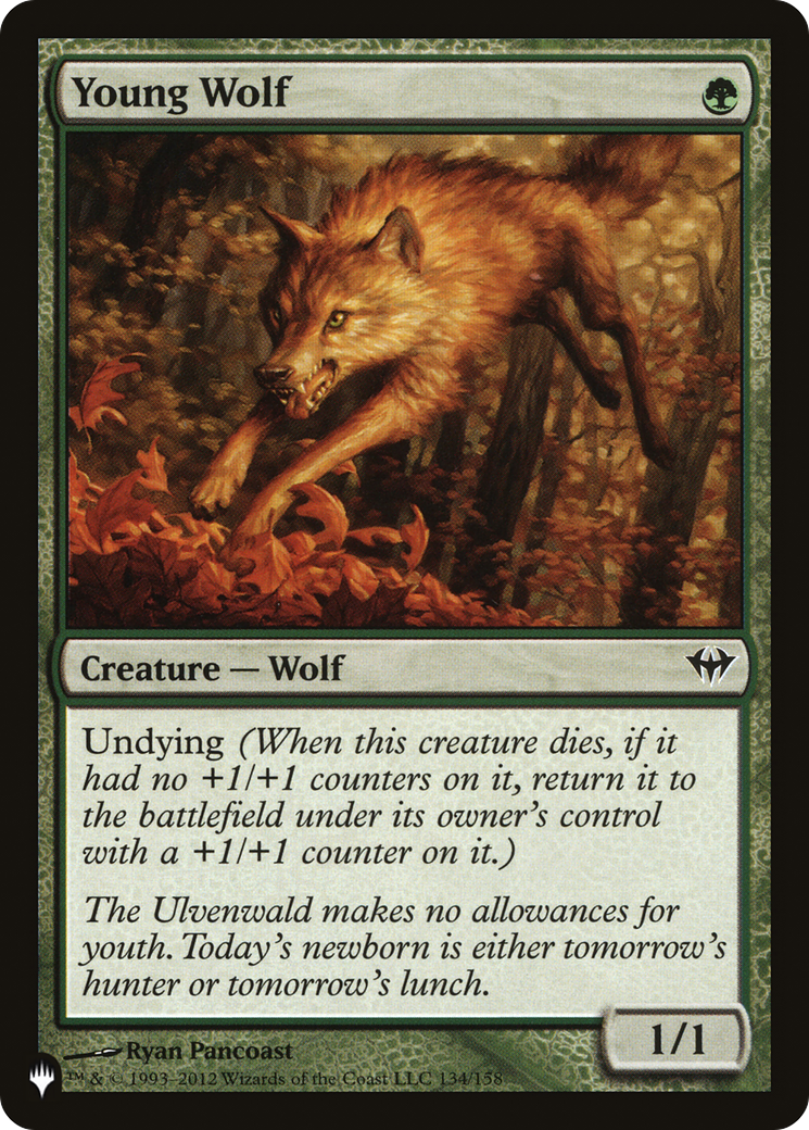 Image of Young Wolf [The List]