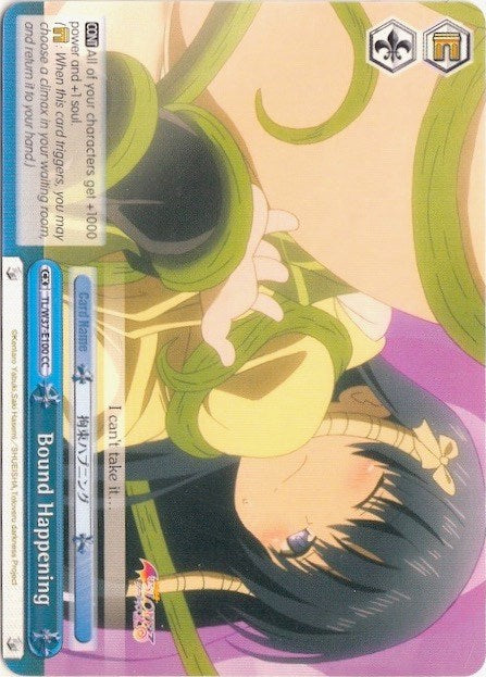 Image of Bound Happening (TL/W37-E100 CR) [To Loveru Darkness 2nd]
