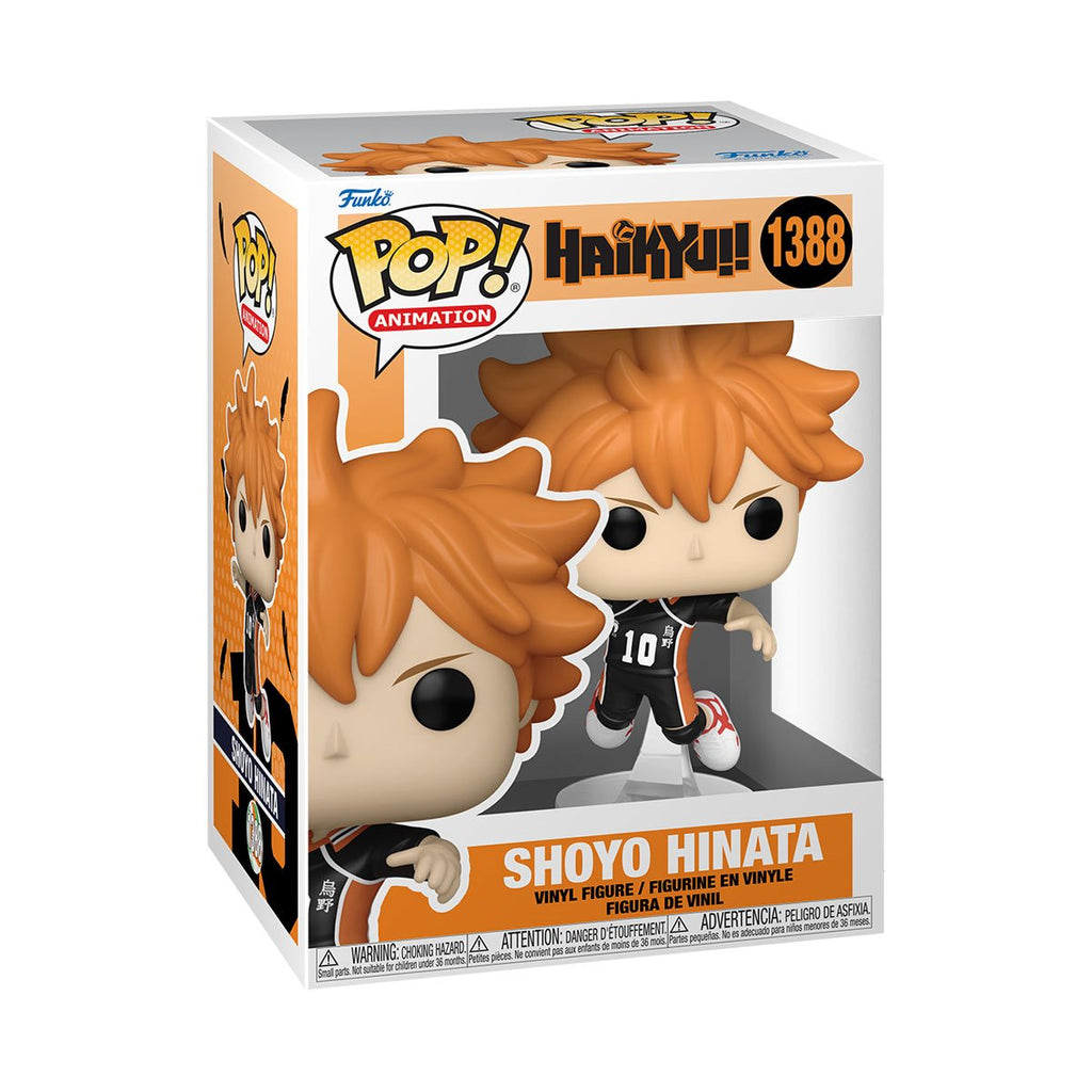 Image of Shoyo Hinata (Haikyui!) #1388