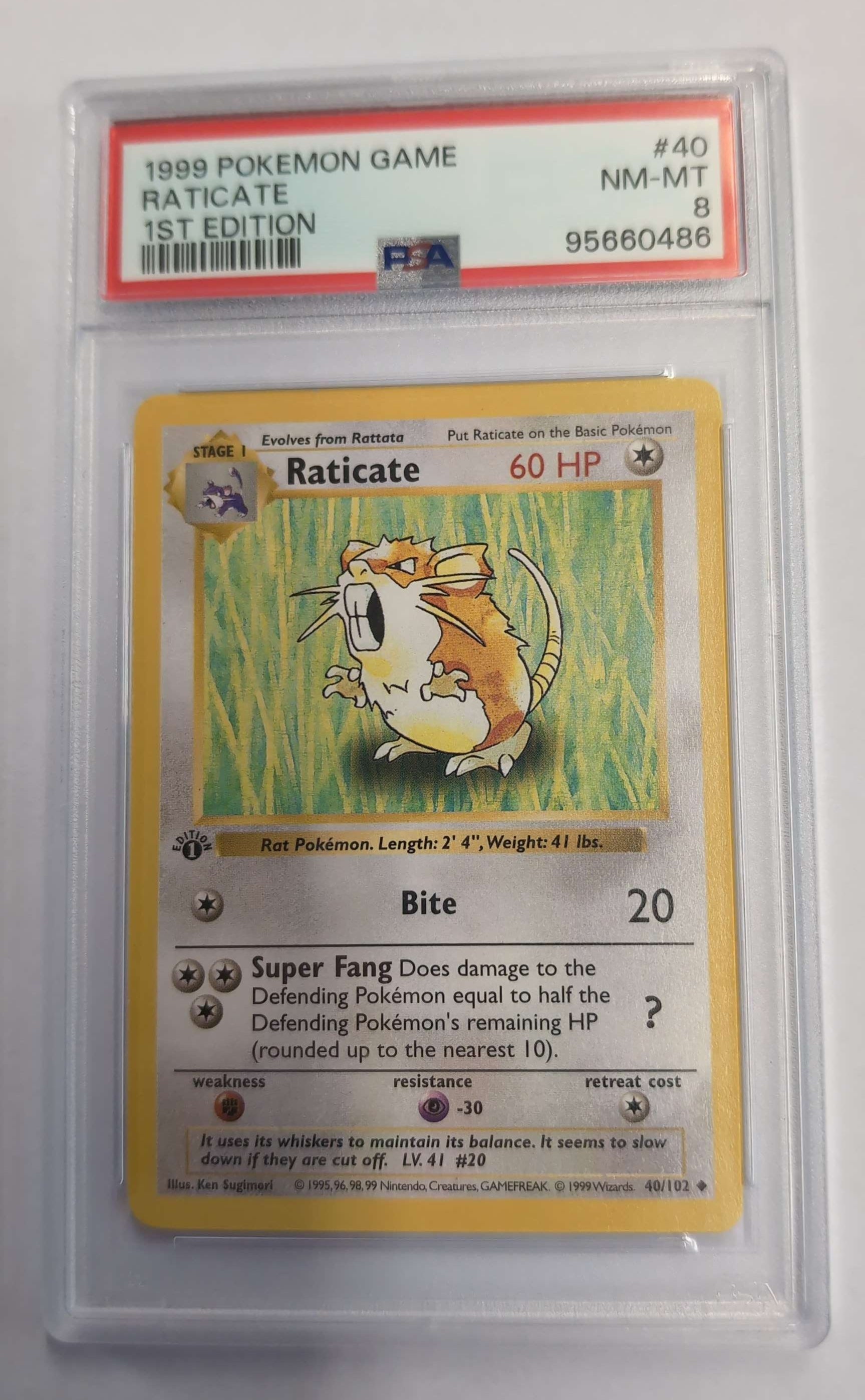 Image of Raticate (Base Set 1st Edition SHADOWLESS) No.40 PSA 8