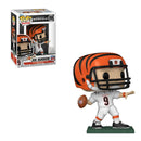 Joe Burrow (Cincinnati Bengals)