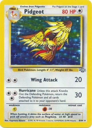 Pidgeot 8/64 Holo Jungle (Near Mint) Unlimited