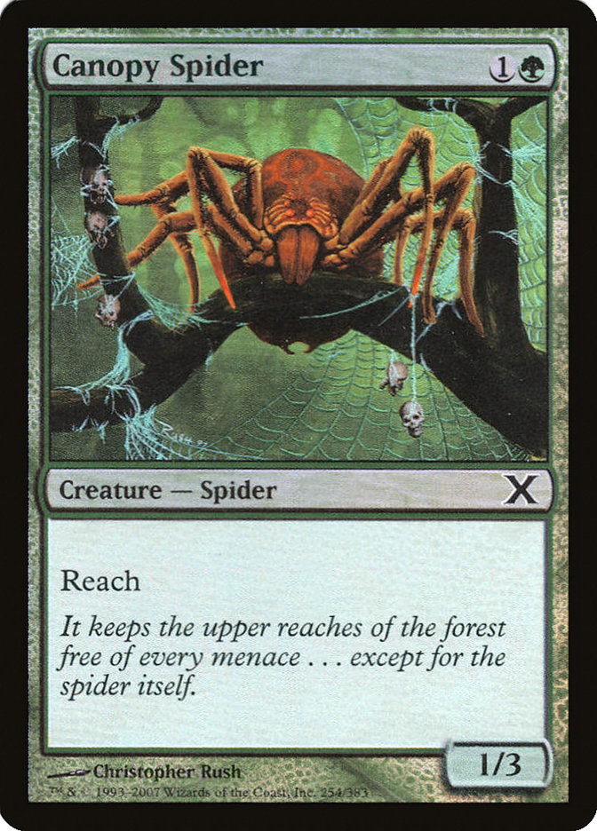 Image of Canopy Spider (Premium Foil) [Tenth Edition]