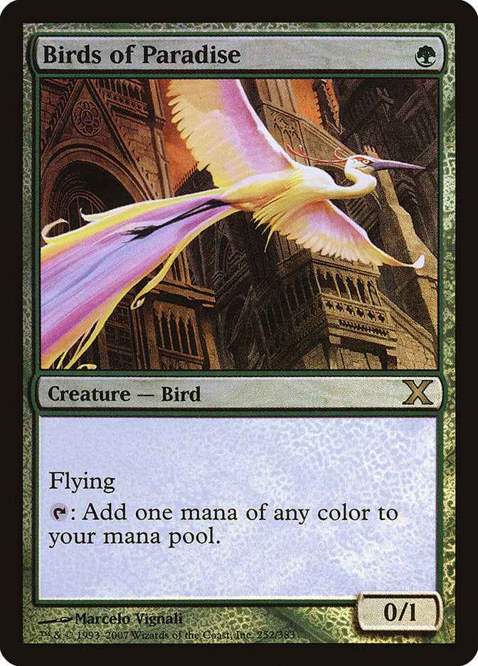 Image of Birds of Paradise (Premium Foil) [Tenth Edition]