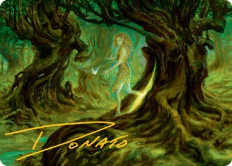 Image of Neverwinter Dryad Art Card (Gold-Stamped Signature) [Dungeons & Dragons: Adventures in the Forgotten Realms Art Series]