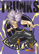DRAGON BALL Z TRUNKS WALLSCROLL