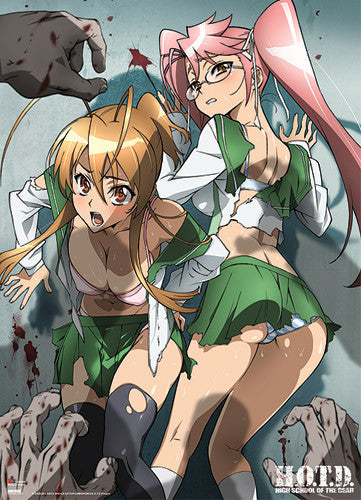 HIGH SCHOOL OF THE DEAD REI & SAYA SURROUNDED WALLSCROLL