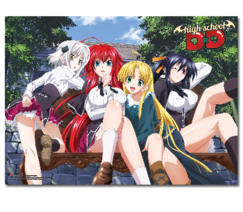 Image of HIGH SCHOOL DXD - GROUP WALLSCROLL