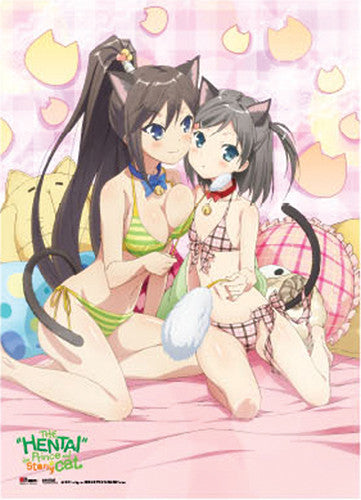 HENTAI PRINCE & THE STONY CAT - TSUKUSHI & TSUKIKO WALLSCROLL