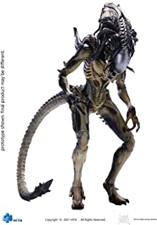 Image of Predator Predalien Px 1/18 Scale