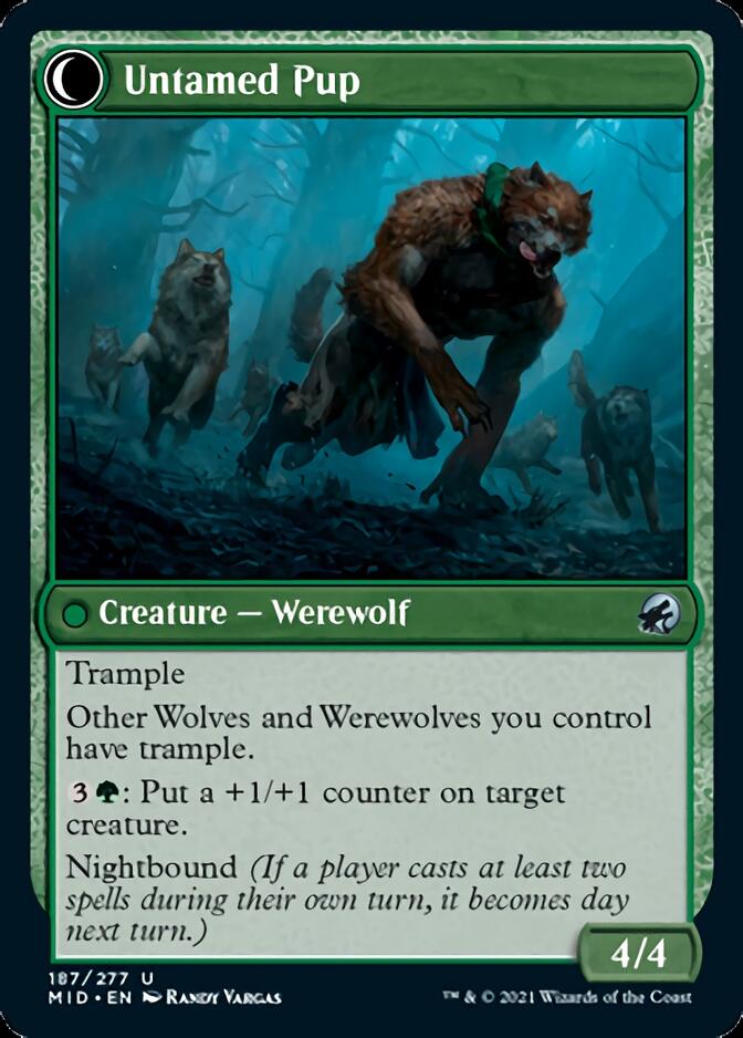 Image of Hound Tamer // Untamed Pup [Innistrad: Midnight Hunt]