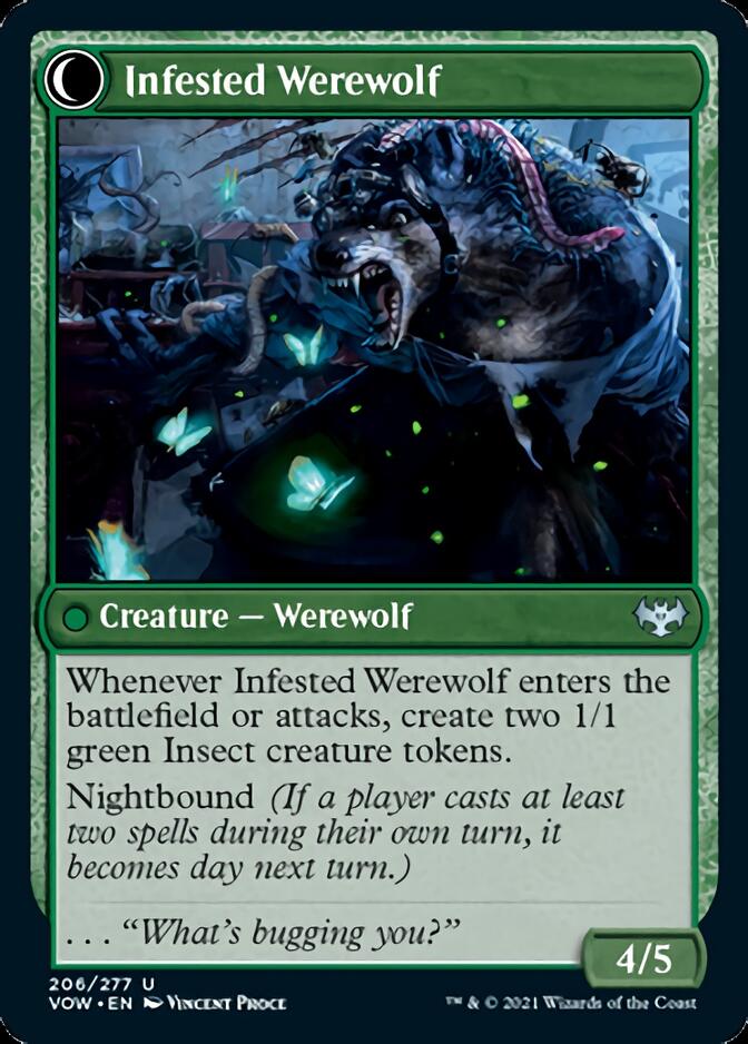Image of Infestation Expert // Infested Werewolf [Innistrad: Crimson Vow]