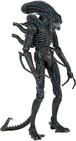 Aliens: 1/4 Scale Xenomorph Warrior