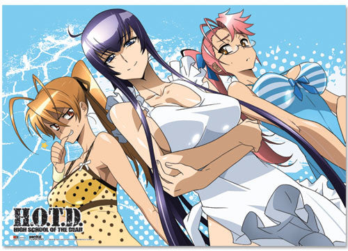 Image of HIGH SCHOOL OF THE DEAD SWIMMING SUITS GROUP WALLSCROLL