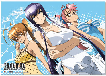 HIGH SCHOOL OF THE DEAD SWIMMING SUITS GROUP WALLSCROLL