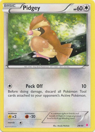 Image of Pidgey (29/30) [XY: Trainer Kit 1 - Wigglytuff]