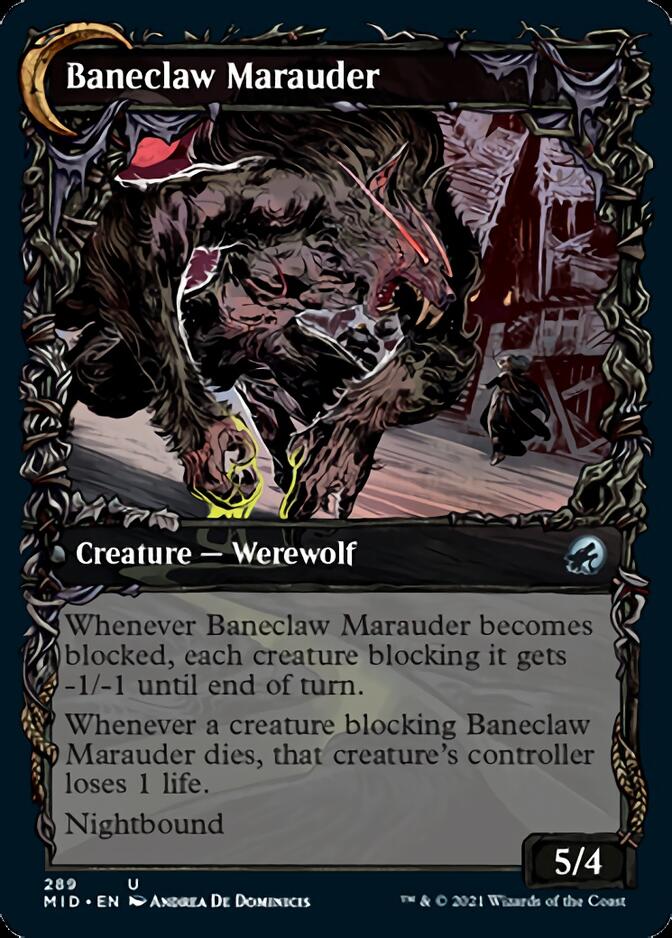 Image of Baneblade Scoundrel // Baneclaw Marauder (Showcase Equinox) [Innistrad: Midnight Hunt]
