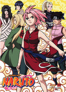 NARUTO GIRL POWER WALL SCROLL