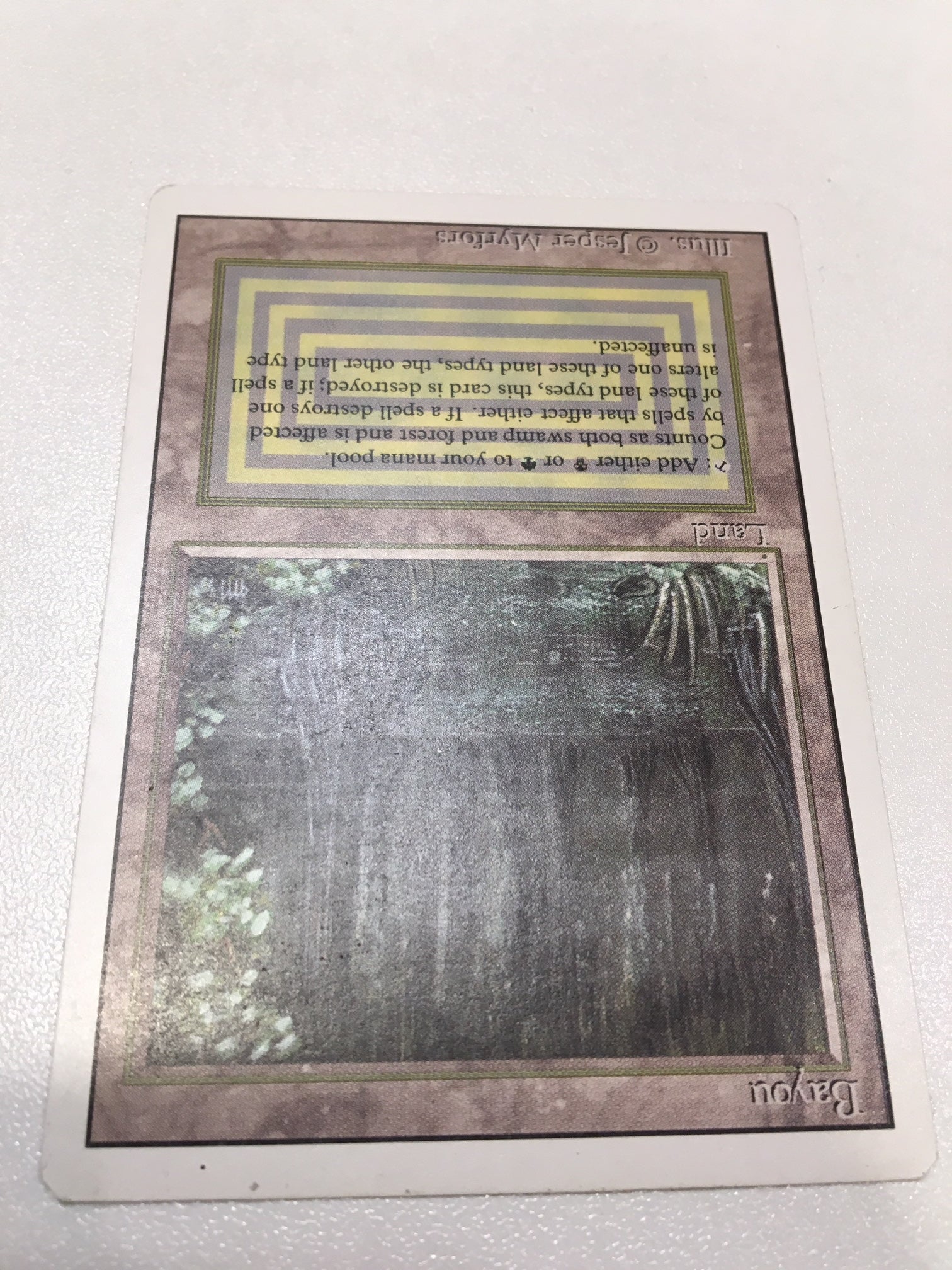 Image of Bayou (Revised)