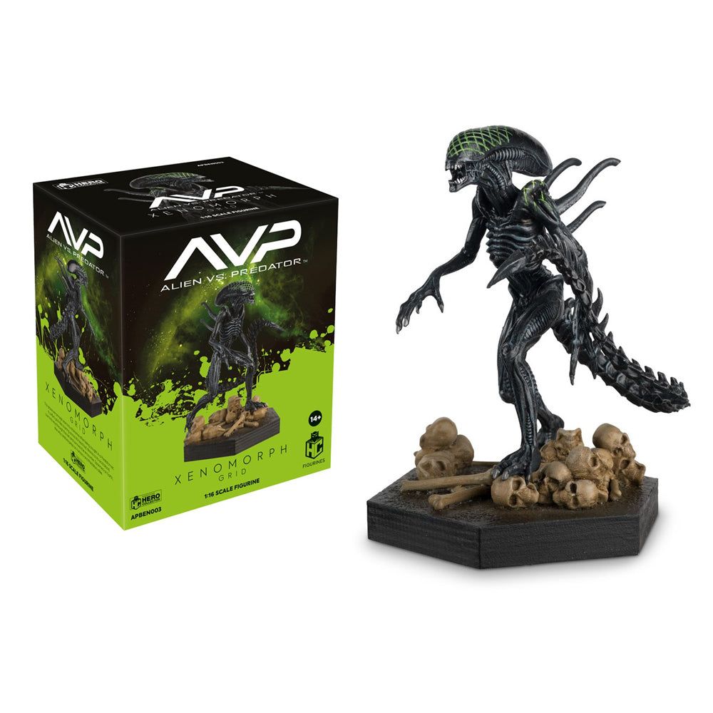 Image of Xenomorph Grid (Alien Vs Predator) 1/16th Collectible Figure