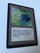 Beta Black Lotus