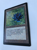 Beta Black Lotus