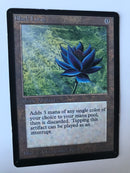 Beta Black Lotus