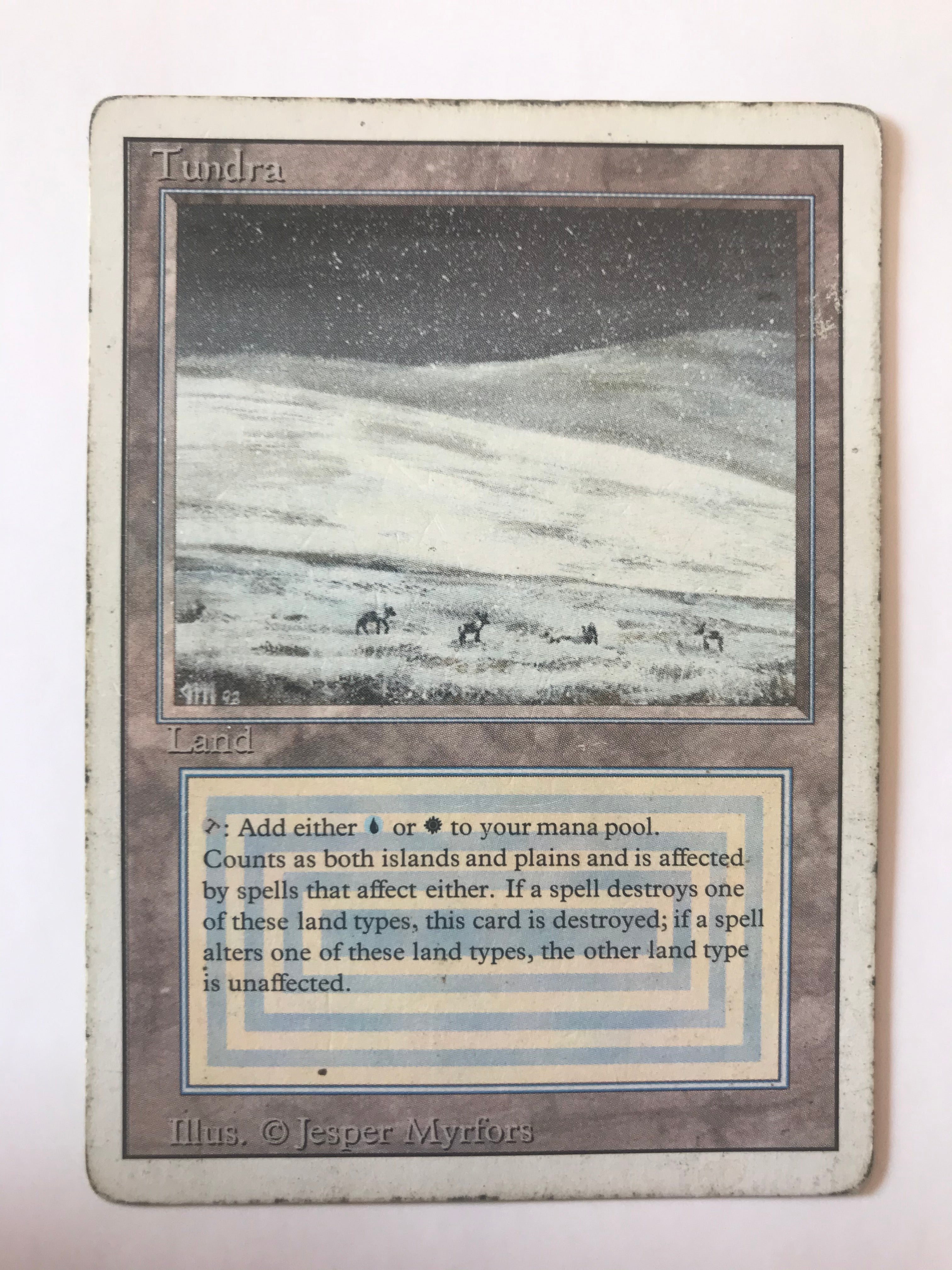 Image of Tundra Revised (Z) (HP)