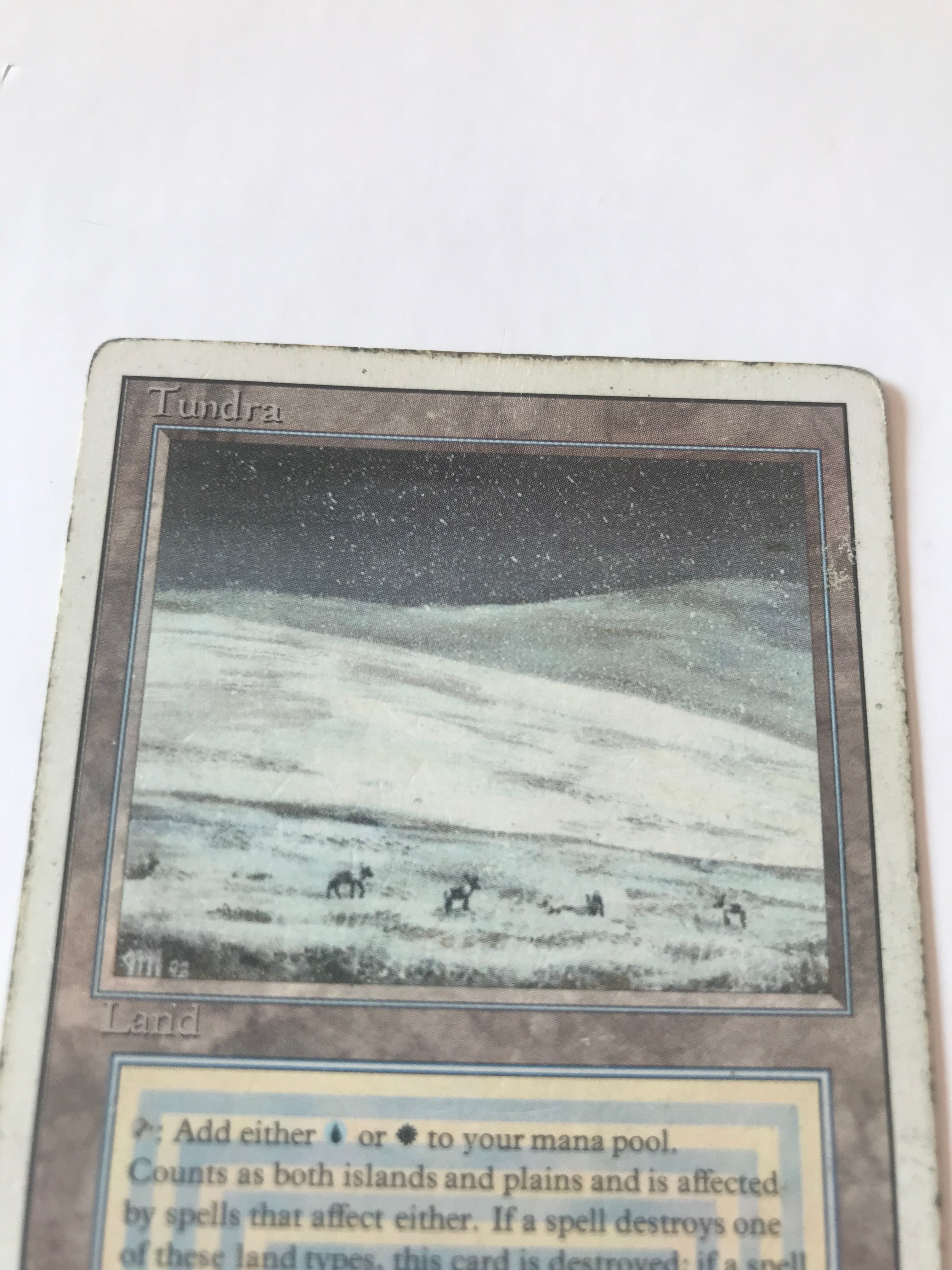 Image of Tundra Revised (Z) (HP)