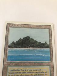 Tropical Island (Revised) (LP) (X1)