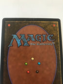 Tropical Island (Revised) (LP) (X2)