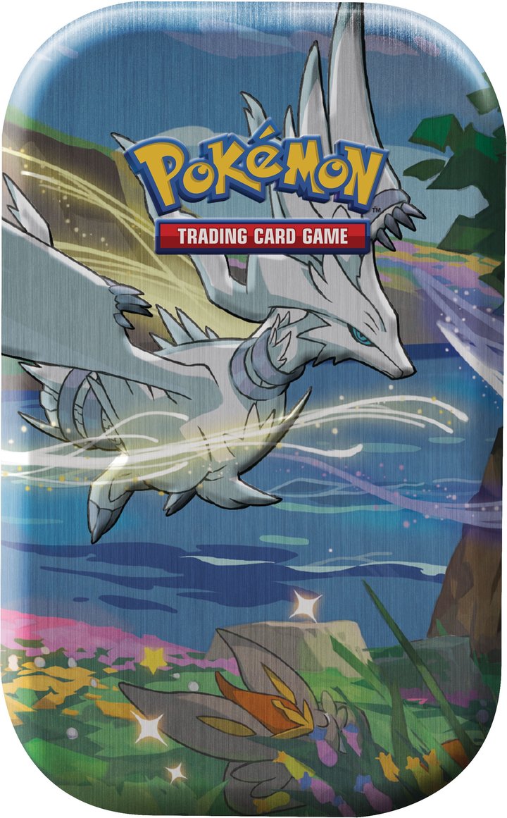 Image of SHINING FATES MINI TINS