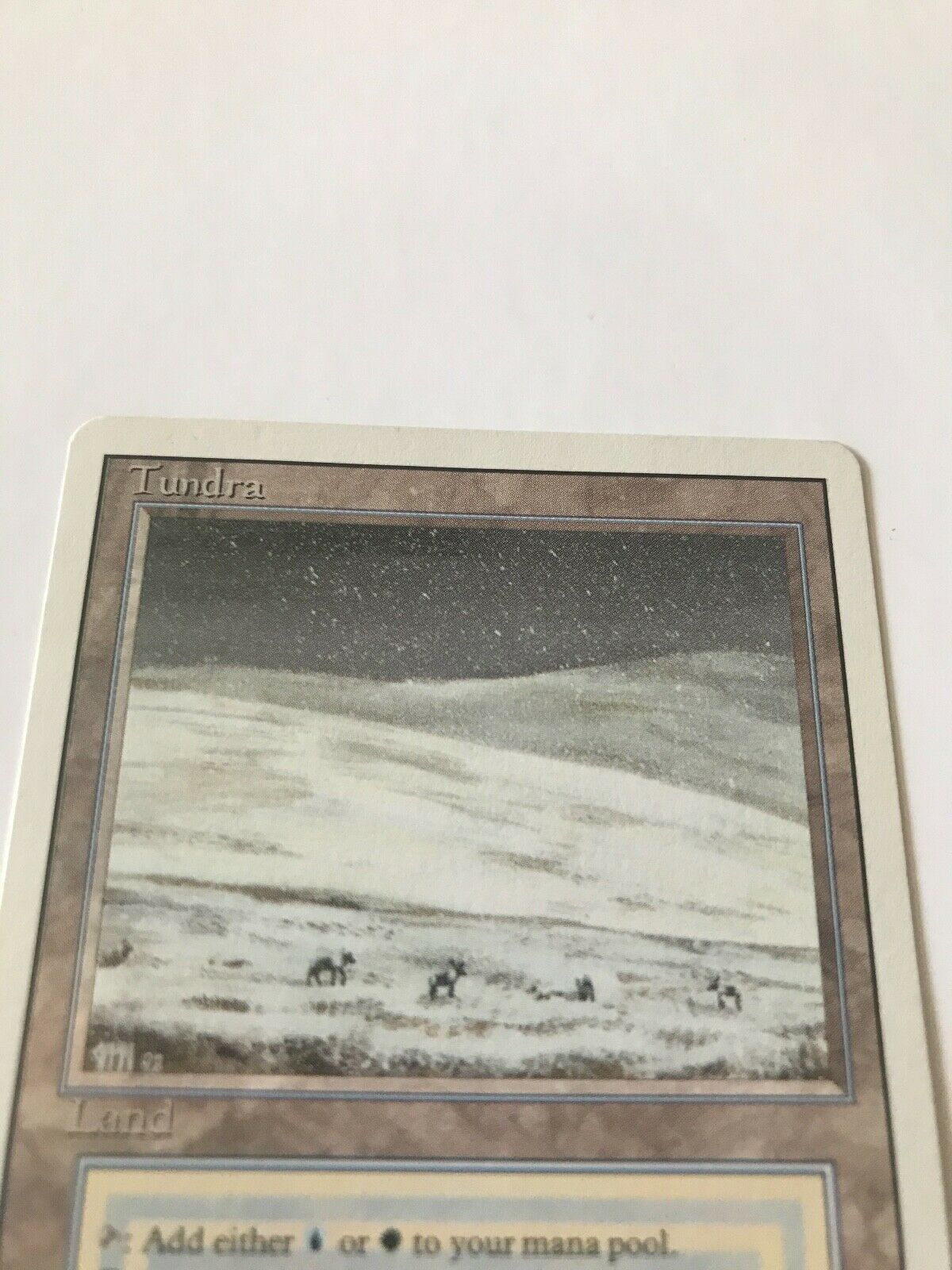 Image of Tundra Revised (LP)