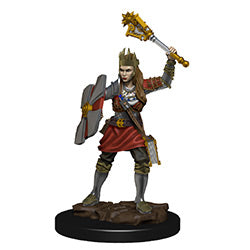 Human Cleric Female Premium Miniature - Icons of the Realms