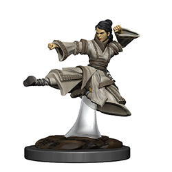 Human Monk Female Premium Miniature - Icons of the Realms