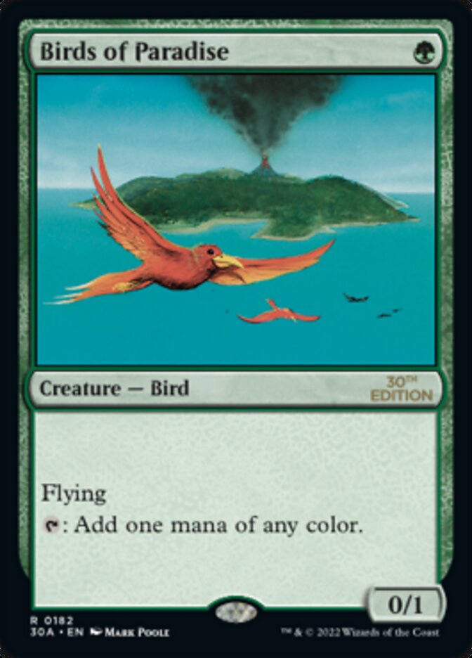 Image of Birds of Paradise [30th Anniversary Edition]