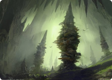 Image of Forest (280) Art Card [Dungeons & Dragons: Adventures in the Forgotten Realms Art Series]