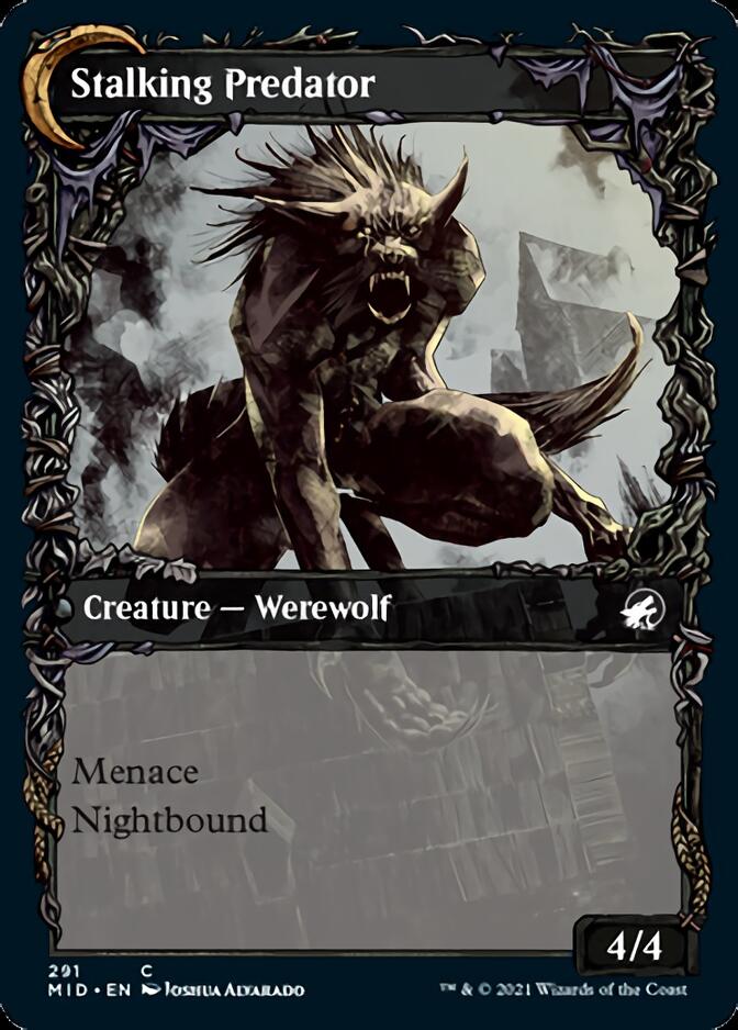 Image of Shady Traveler // Stalking Predator (Showcase Equinox) [Innistrad: Midnight Hunt]