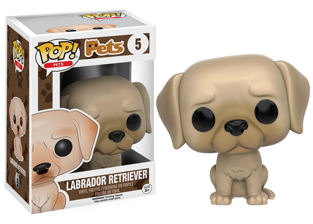 Image of Labrador Retriever (Pets) #5