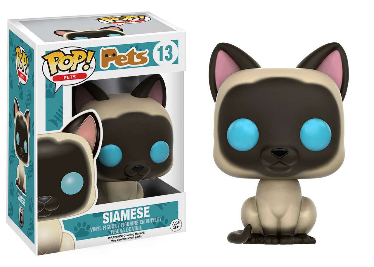 Image of Siamese (Pets) #13