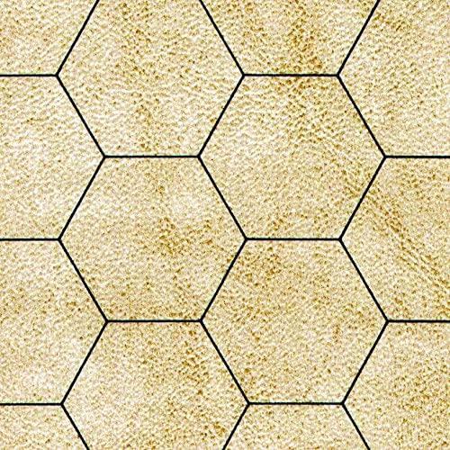 Image of Dungeons and Dragons: Reversible Mondomat (54