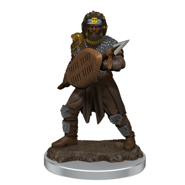 Male Human Fighter Premium Miniature - Icons of the Realms