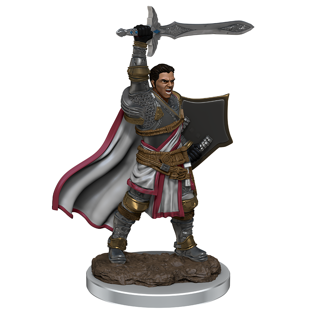 Image of Male Human Paladin Premium Miniature - Icons of the Realms