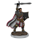 Male Human Paladin Premium Miniature - Icons of the Realms