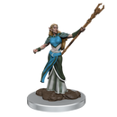 Female Elf Sorcerer Premium Miniature - Icons of the Realms